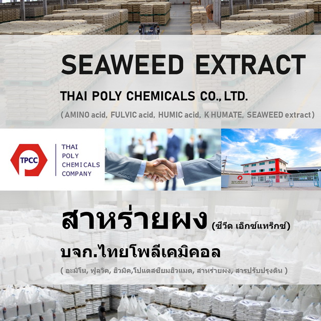 สาหร่ายผง, ผงสาหร่าย, Seaweed extract, Seaweed powder, สาหร่ายสกัด, ซีวีดเอ็กซ์แทร็กซ์